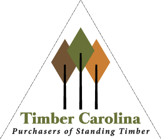 Timber Carolina